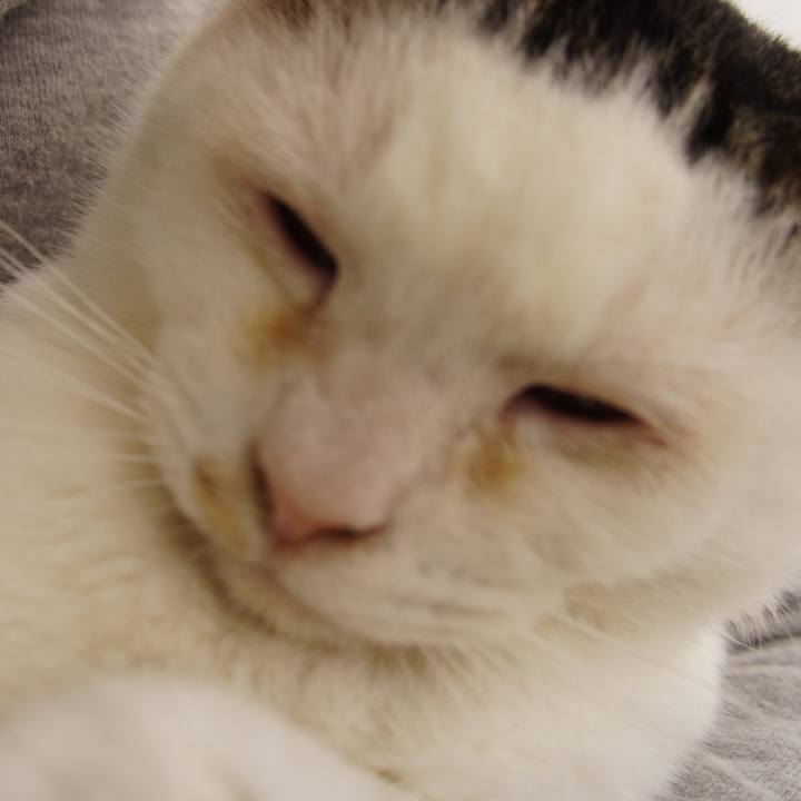 Ead7daa9 817d 49ce 937e b71c60c673de