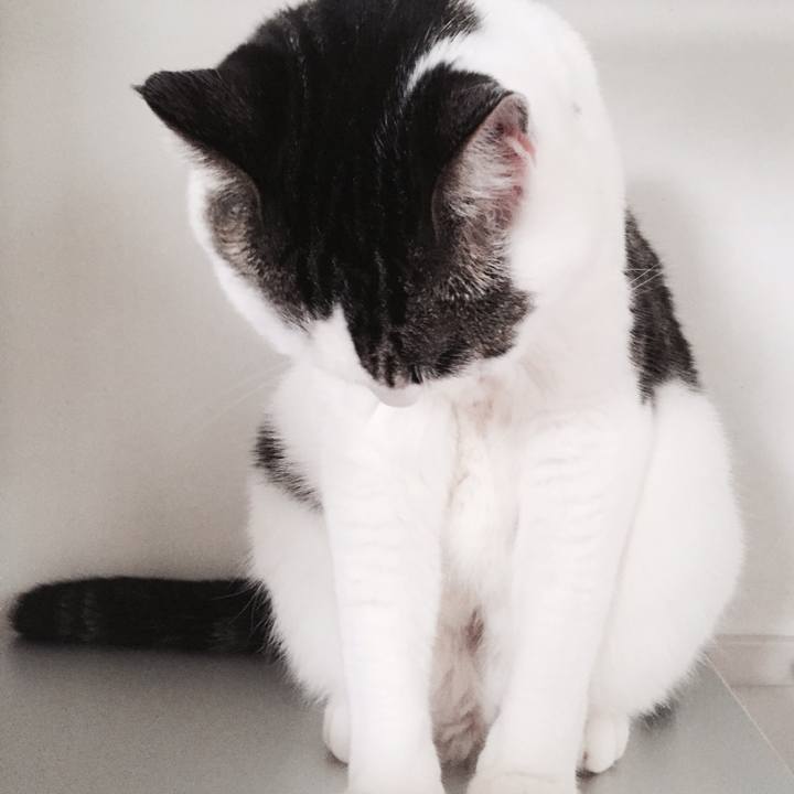 Ead7f967 9f7a 4bb8 8a71 27ee005e3df9