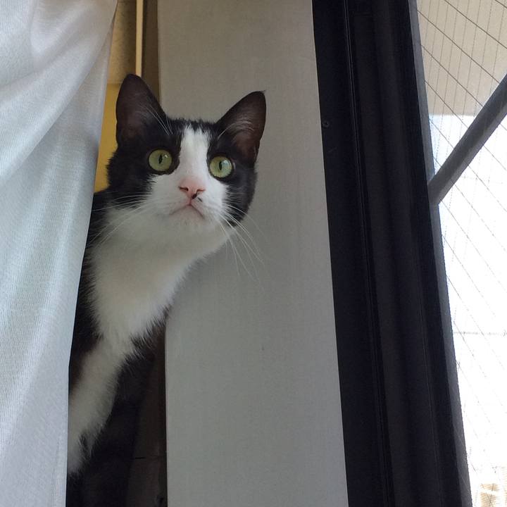 Ead7fa10 6759 4732 be22 1d0646cadd8c