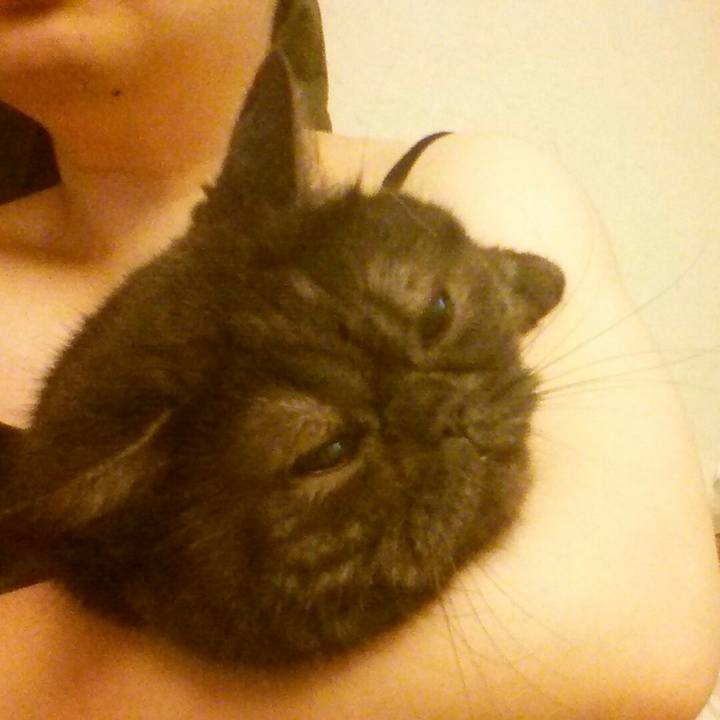 Ead8f089 c41a 44ba 9afb 7eb0bfce4178