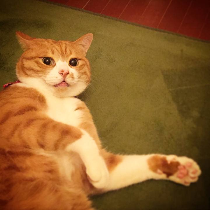 Ead91973 27ba 48c3 af44 cafa704e834d