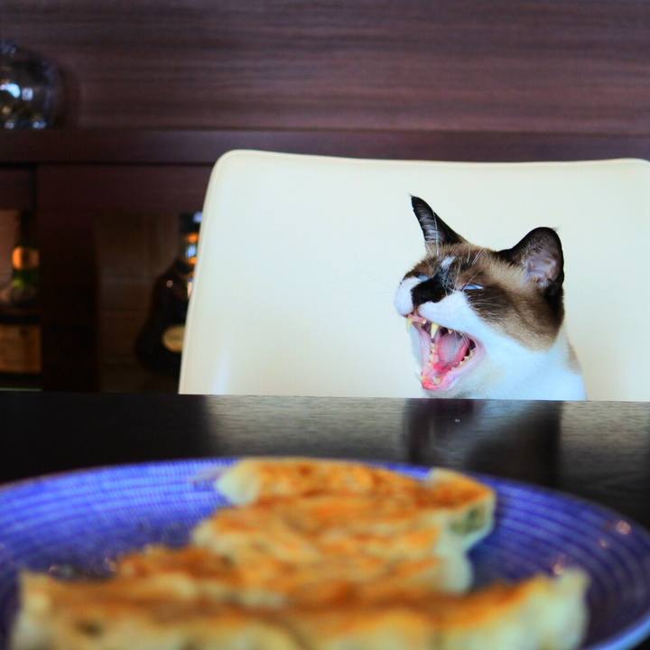 Ead91d81 84ae 4b00 b5b3 7df3d45aed92