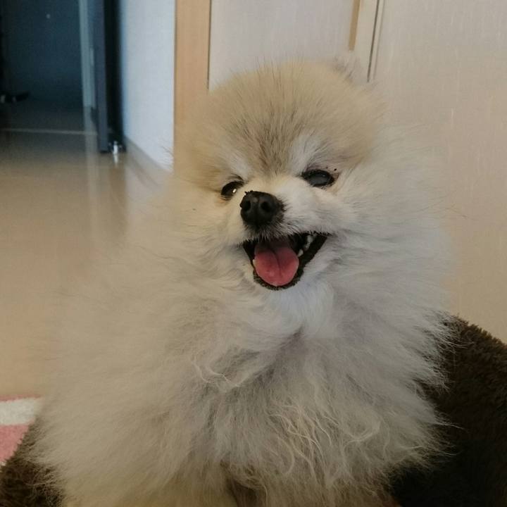 Ead9516c 4990 450a aae1 2cf8a9739153