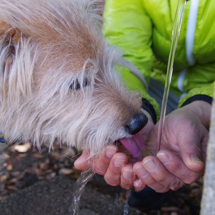 Ead9dfb5 7501 40d8 8e60 f94ce12552c7