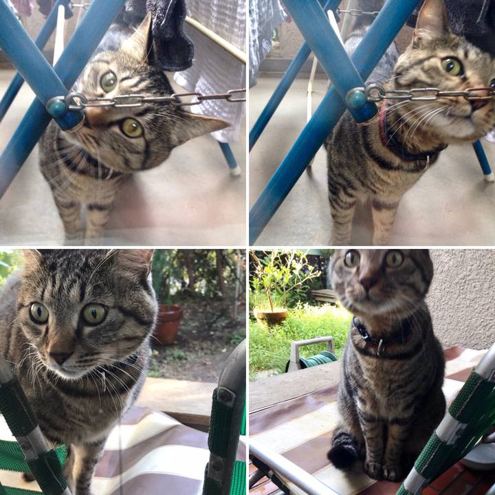 Eada2b1b 0ff1 4ed5 938a 26378fdc76b1