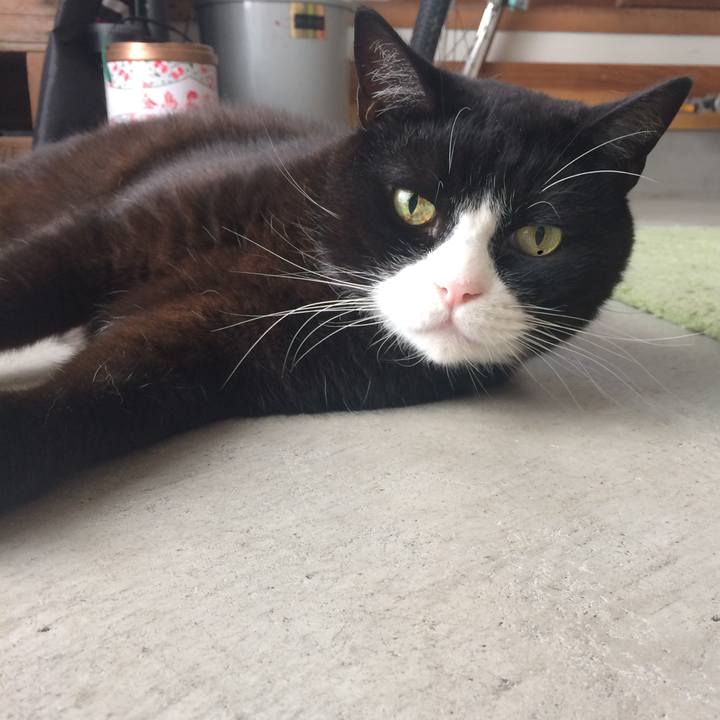 Eada47f1 2d39 4399 bbe6 910c306d51a2