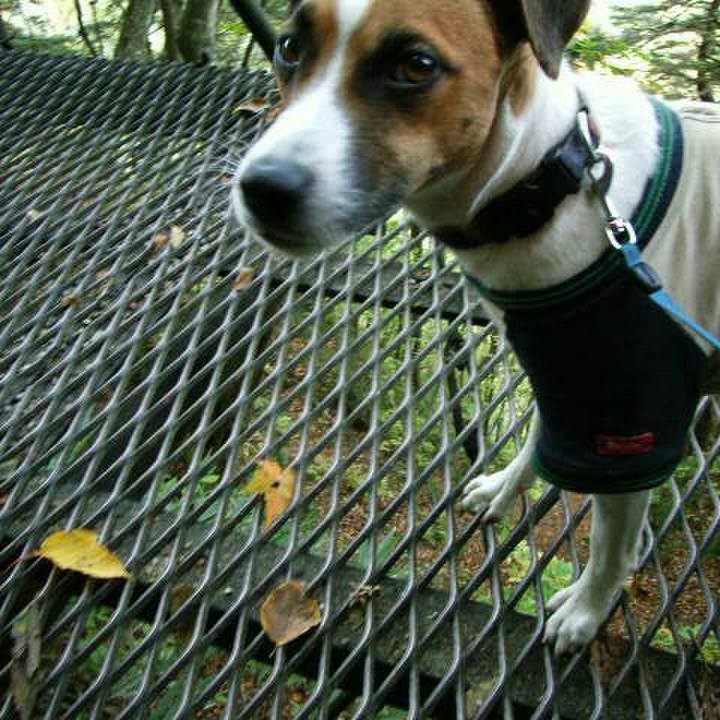 Eadabe84 8ef4 49f3 826f dbc9fa2f270c