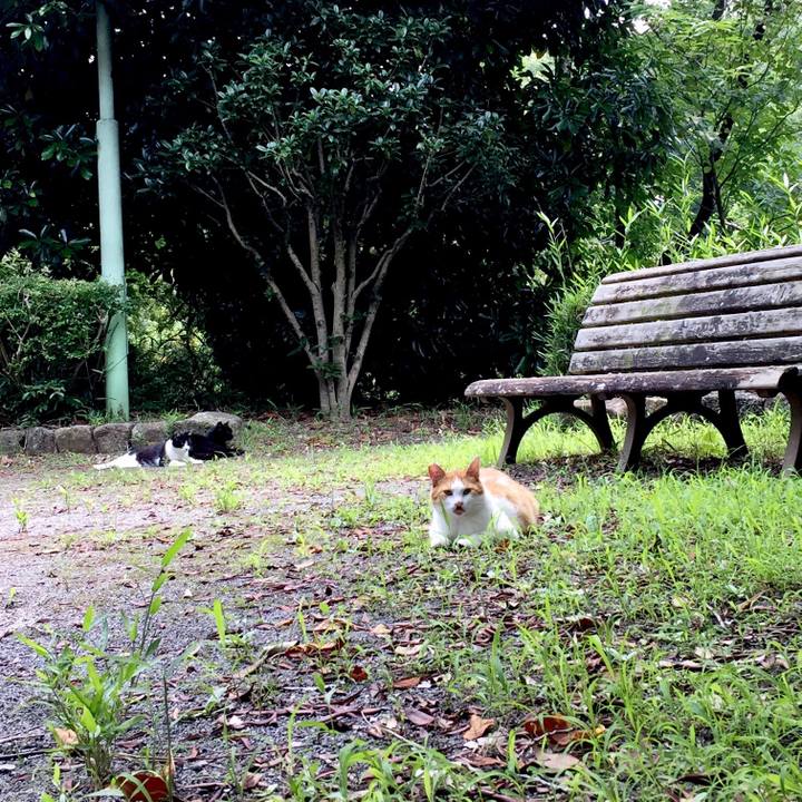 Eadc11f2 3acb 41e5 8d82 82b942d38c0d