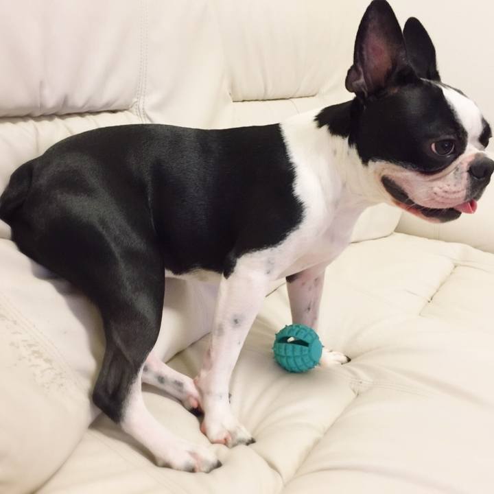 Eadc2e55 87a8 46f4 bda1 4330d4b529cd