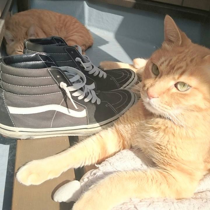 Eadc3a69 669d 4c08 b707 86506a53c868