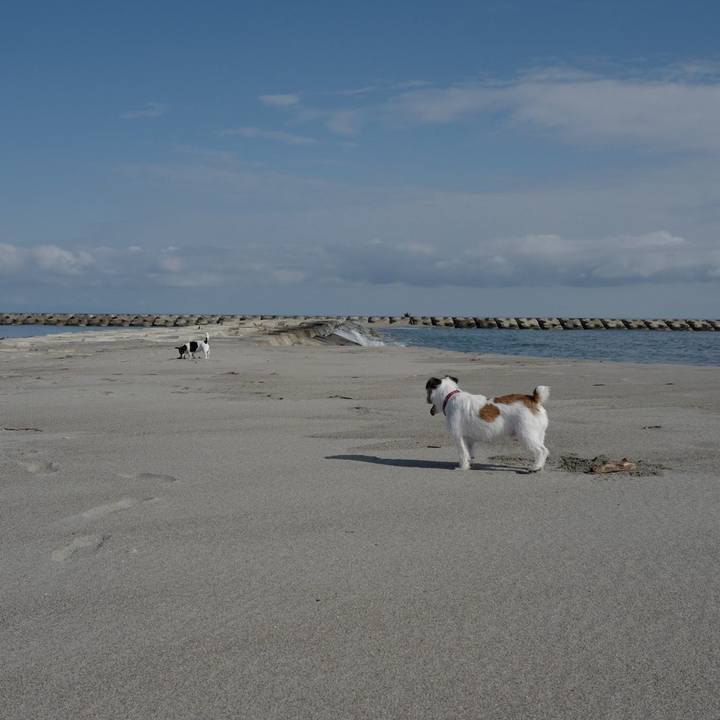 Eadc85b5 6686 428e a2dc 2848da0a54f9