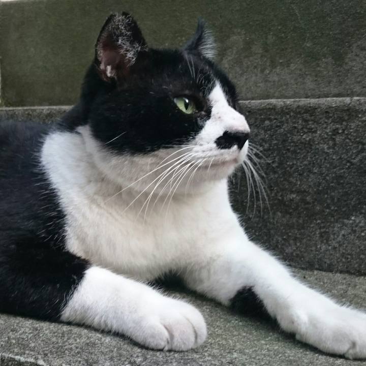 Eadc9c6a d2d0 4f3e 911f 1baf95215a80