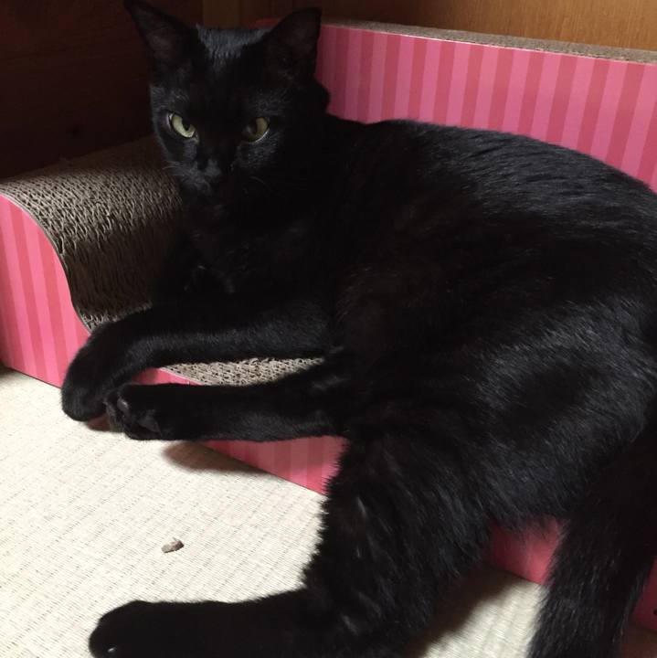 Eadcc9c4 c8f7 4428 94fa 0a2eeed040ab