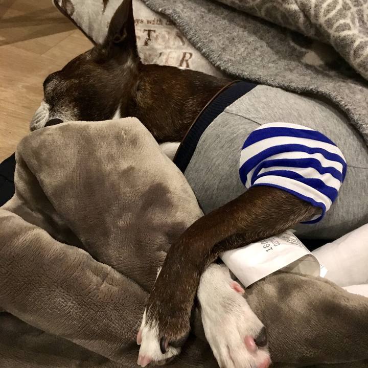 Eadde530 16d7 4b7f 84fa 91f28dee4378