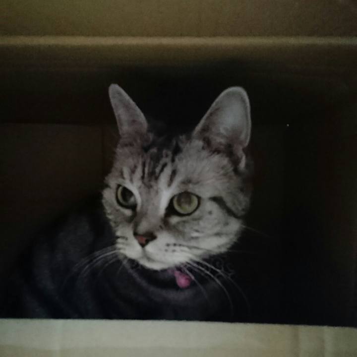 Eade4999 2632 46e7 bf09 b53c50a843e9