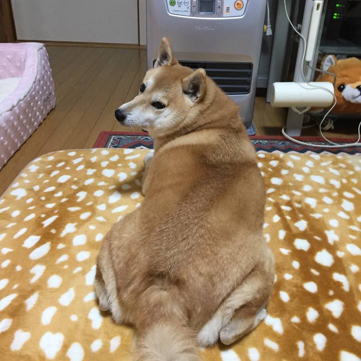 Eade8bf3 6cc1 4a37 9091 91fc558549c7