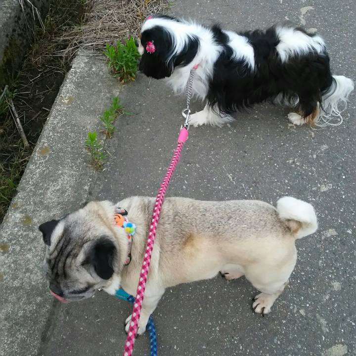 Eadeadeb 3dbd 43f5 aa92 f51d75d1bc2e