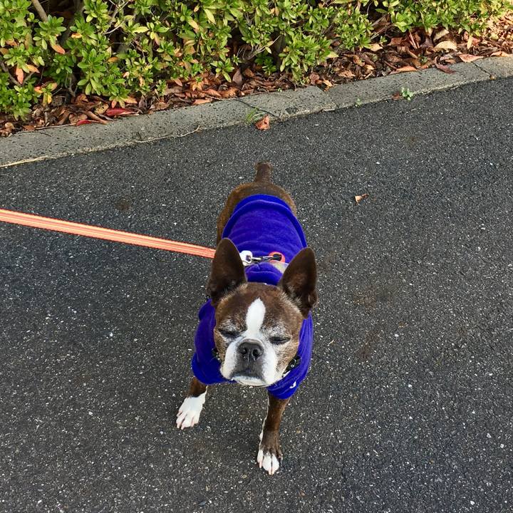 Eadeb40a 299c 4ab0 9976 e67c3619f4e8