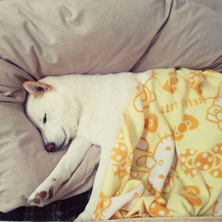 Eadf4afb 4ba6 4e8c aade d7f516358d29