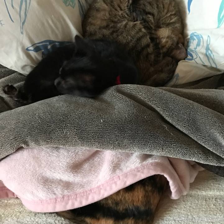 Eadfb07c 63c4 4596 b3c1 a37d1c212d10