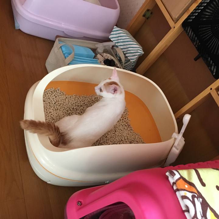 Eadfd09d 8bbd 4c29 99d6 c4bb346bf994