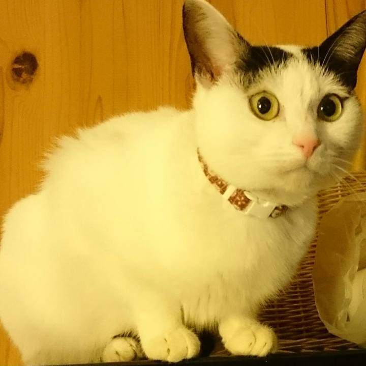 Eae03f25 5f1d 4581 957e 5d8095b70138