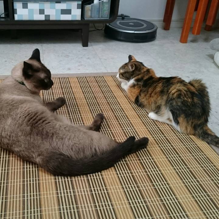 Eae0c937 0784 4d74 b1d2 2c2b0471223e