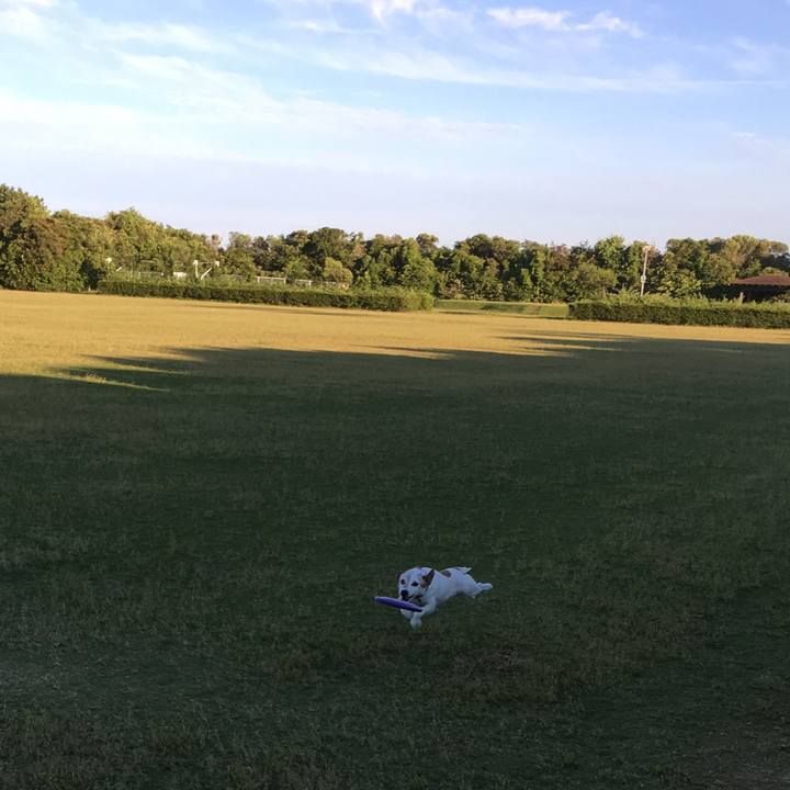 Eae16677 1bae 462e b53a b1288c40a67a