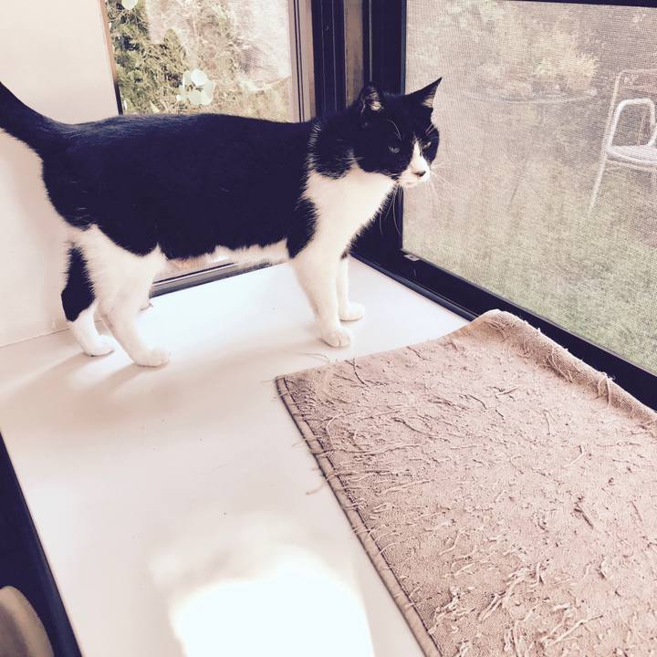 Eae1a87c 3b7a 4bcd b09c 65daf7c5d55e