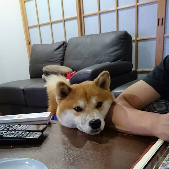 Eae1ecb3 75a8 44f0 81eb 5b5d8d16584c