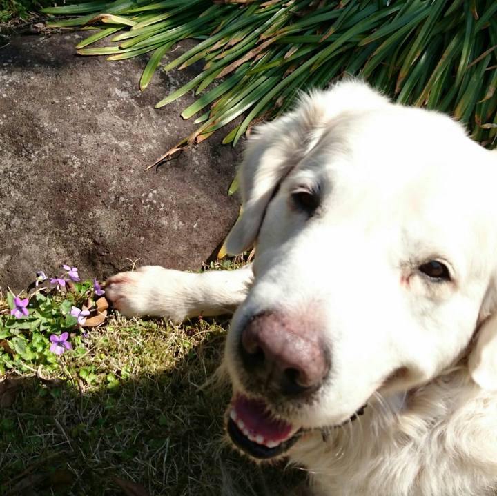 Eae1ee87 70bb 4ffb ac97 f0cb00f0e0a6