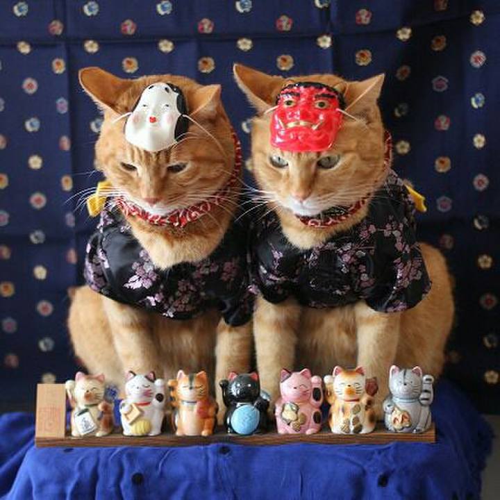 Eae1fda8 7d54 41c3 b188 e216d7f7eb8f