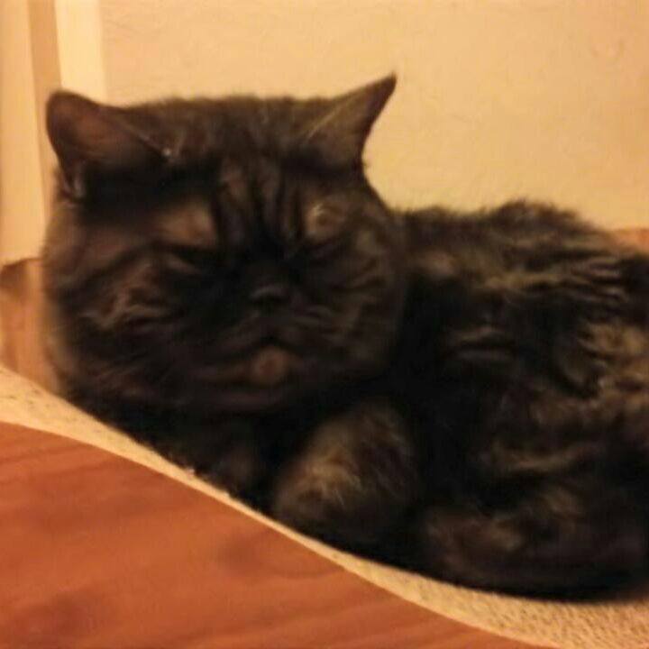 Eae28be6 e90d 44d3 afcc 7a2f4251be2d