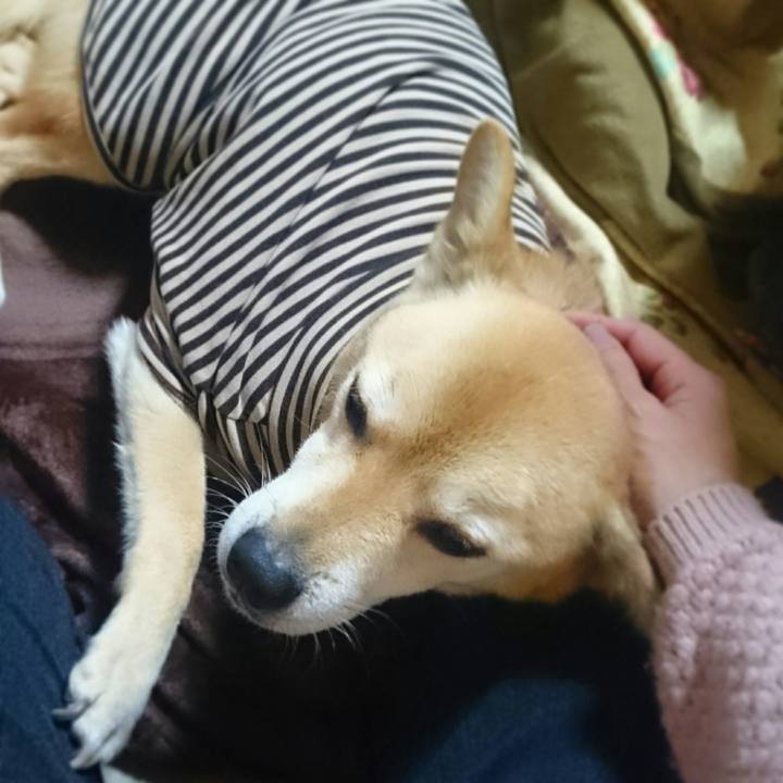 Eae2a2ed 823a 473e 91a9 db2c9580aff2