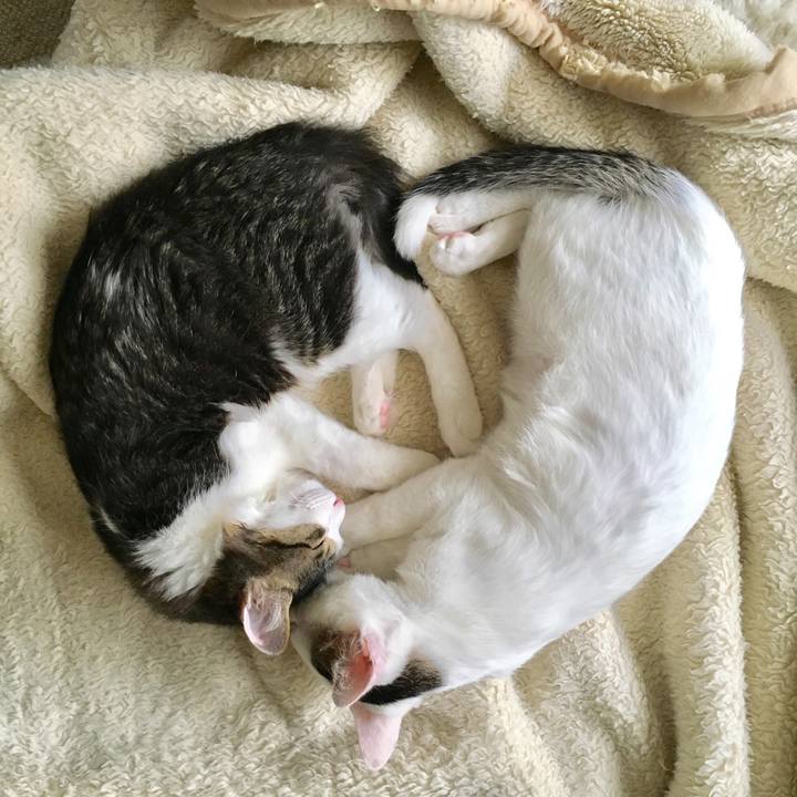 Eae2d954 2ef1 40c2 bb6b 4bb93100a5e9