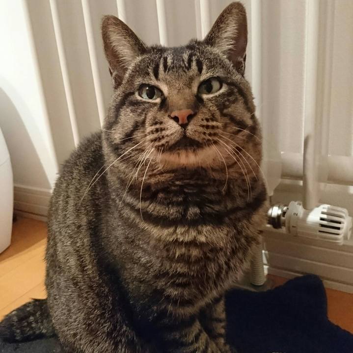 Eae31ddd 412e 4a70 87fc d0b6726b7150