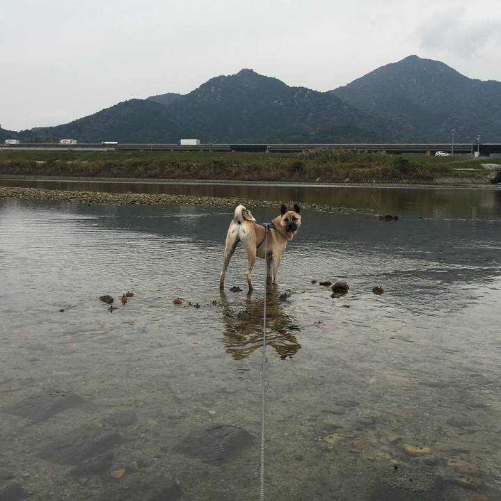 Eae34958 0012 4ba8 a6eb 94c3fdf8a2f2