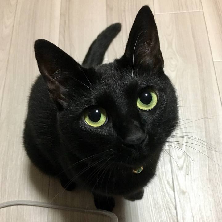 Eae3640b 66b4 4508 bae7 3f21c799f932