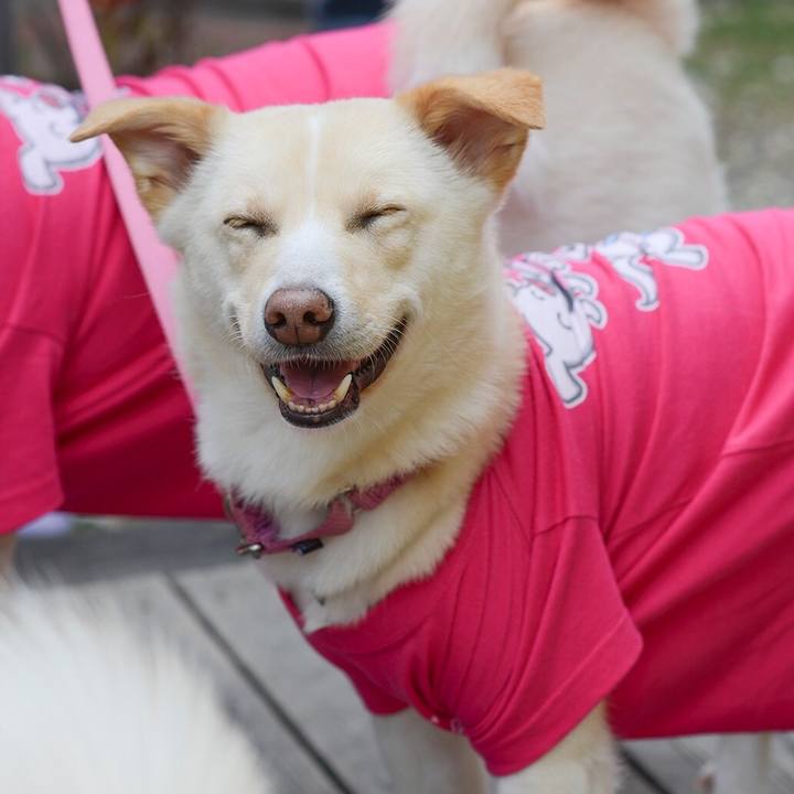 Eae447e4 2a59 4e8a 9688 3ad10af631bf