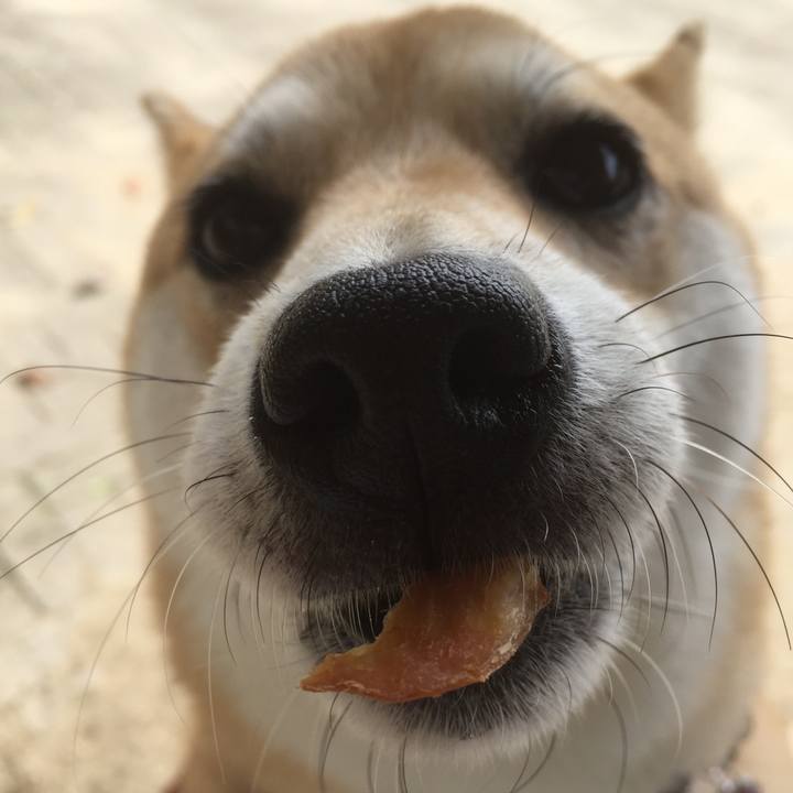 Eae45d30 01d2 4d08 8041 54e86bb9fda9