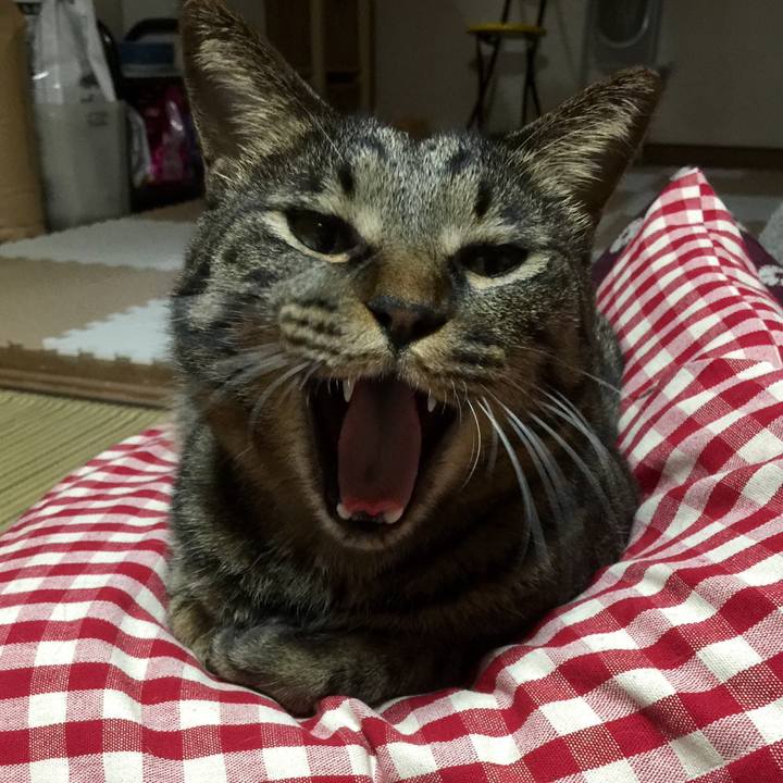 Eae5443d d9de 4145 a0e9 5a38d8da911b