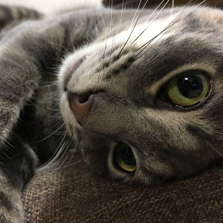 Eae63d01 c0d7 418a b87e a2e83053f14f