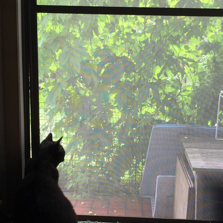 Eae6976c 542f 44f7 8412 e022f2eb6343