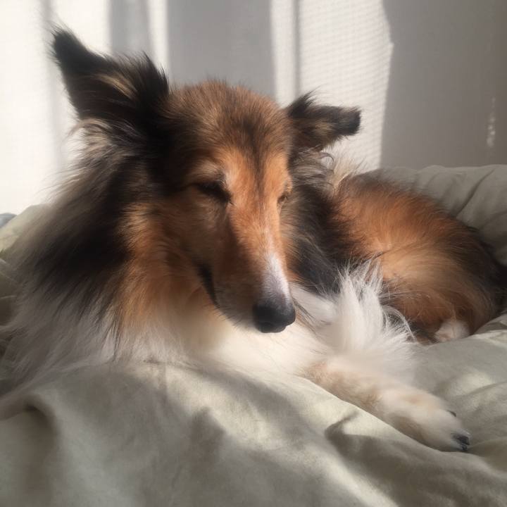 Eae6de4b b95b 4e41 a8a2 857610388e46