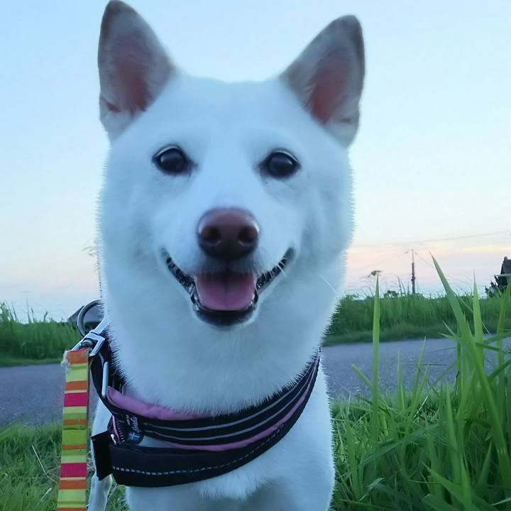 Eae6f452 c38a 42f2 8493 cb6cb6e3cb13