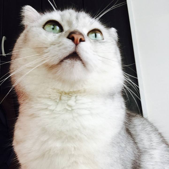 Eae78e2b 894c 408a 9632 8a2e545a879e