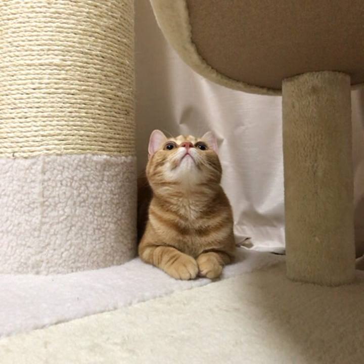 Eae86271 5dd7 4f6e a1e5 58dec01d629d