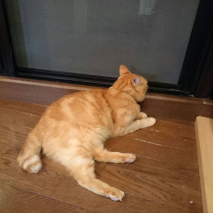 Eae8813b a753 41a9 a563 66a3faac5ef0