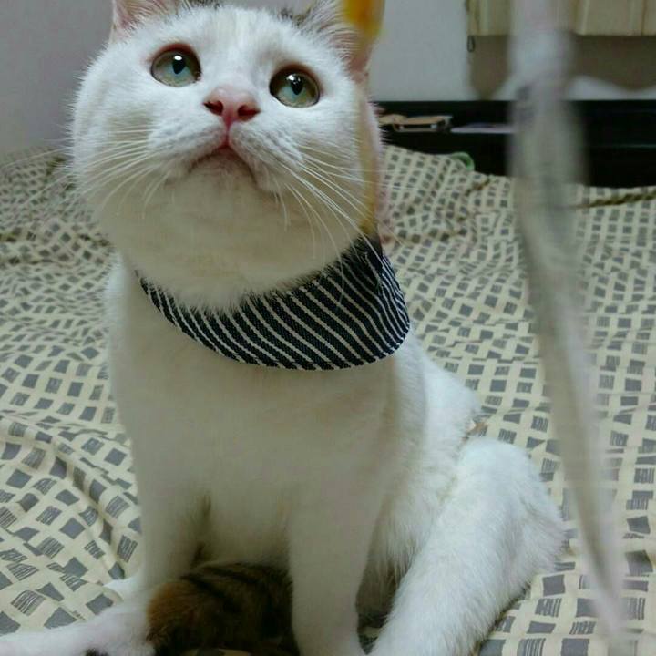 Eae8c1f5 200a 4700 98e6 9de8d4bc9506