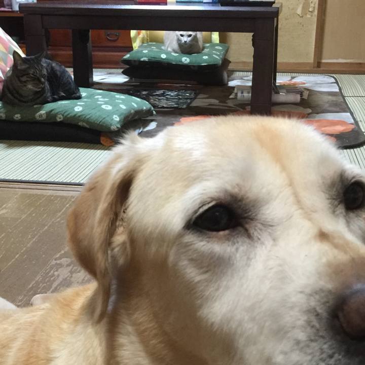 Eae97344 bcd8 4a76 8005 94404e0aaf5e